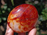 Polished Carnelian Agate Gemstone Galets x 20 From Madagascar