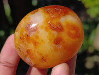 Polished Carnelian Agate Gemstone Galets x 20 From Madagascar