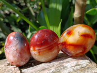 Polished Carnelian Agate Gemstone Galets x 20 From Madagascar