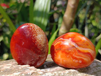 Polished Carnelian Agate Gemstone Galets x 20 From Madagascar