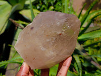 Polished Pearly Smokey Quartz Crystals x 2 From Angola