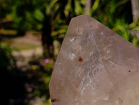 Polished Pearly Smokey Quartz Crystals x 2 From Angola