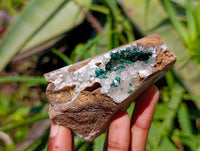 Natural Ball Malachite and Drusy Quartz On Dolomite Matrix Specimens x 6 From Mindingi Mine, Kambove, Congo