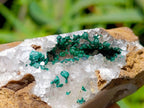 Natural Ball Malachite and Drusy Quartz On Dolomite Matrix Specimens x 6 From Mindingi Mine, Kambove, Congo - Toprock Gemstones and Minerals 