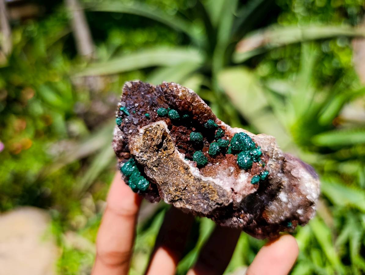 Natural Ball Malachite and Drusy Quartz On Dolomite Matrix Specimens x 6 From Mindingi Mine, Kambove, Congo - Toprock Gemstones and Minerals 