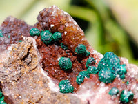 Natural Ball Malachite and Drusy Quartz On Dolomite Matrix Specimens x 6 From Mindingi Mine, Kambove, Congo