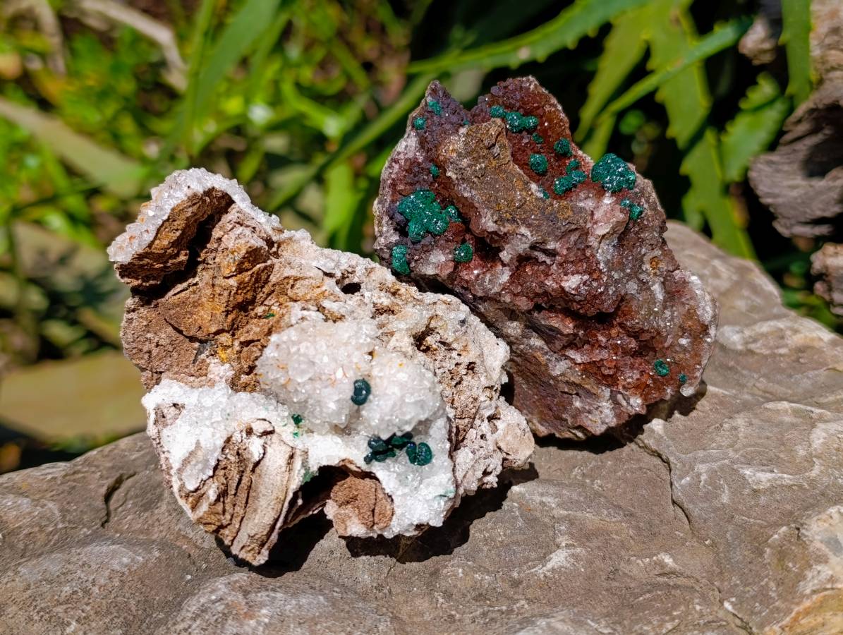 Natural Ball Malachite and Drusy Quartz On Dolomite Matrix Specimens x 6 From Mindingi Mine, Kambove, Congo - Toprock Gemstones and Minerals 