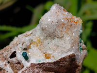 Natural Ball Malachite and Drusy Quartz On Dolomite Matrix Specimens x 6 From Mindingi Mine, Kambove, Congo