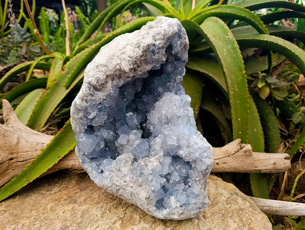 Natural Blue Celestite Geode Specimen x 1 From Sakoany, Madagascar - Toprock Gemstones and Minerals 