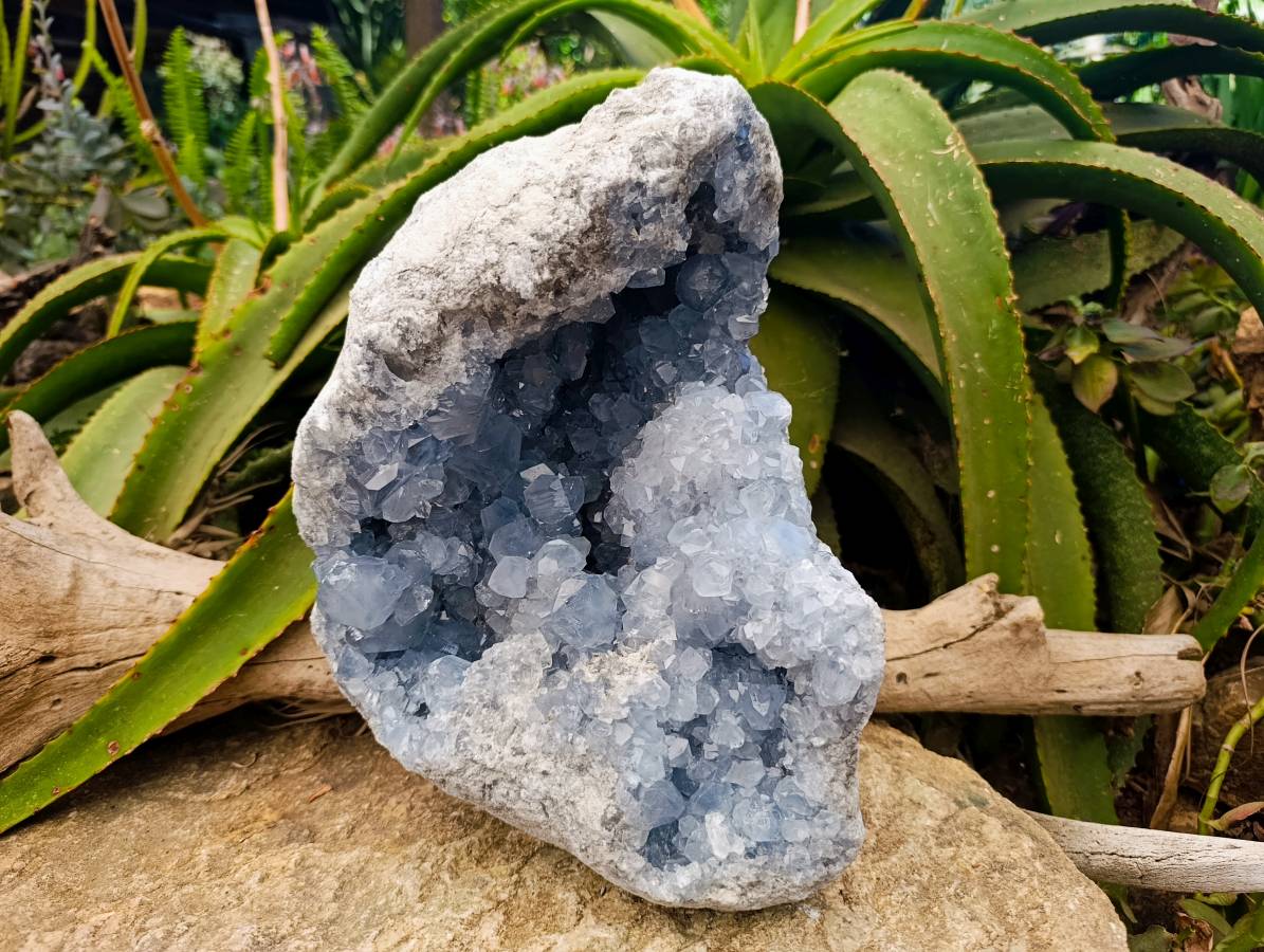 Natural Blue Celestite Geode Specimen x 1 From Sakoany, Madagascar - Toprock Gemstones and Minerals 