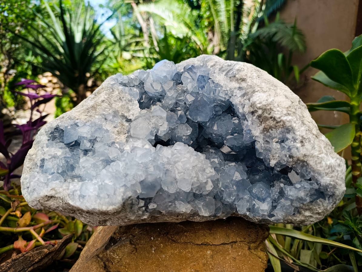 Natural Blue Celestite Geode Specimen x 1 From Sakoany, Madagascar - Toprock Gemstones and Minerals 
