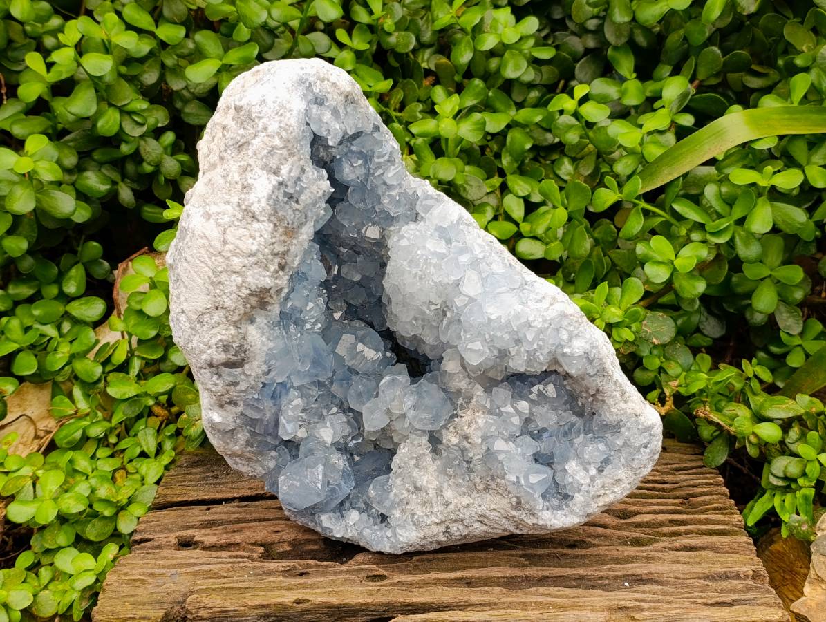 Natural Blue Celestite Geode Specimen x 1 From Sakoany, Madagascar - Toprock Gemstones and Minerals 