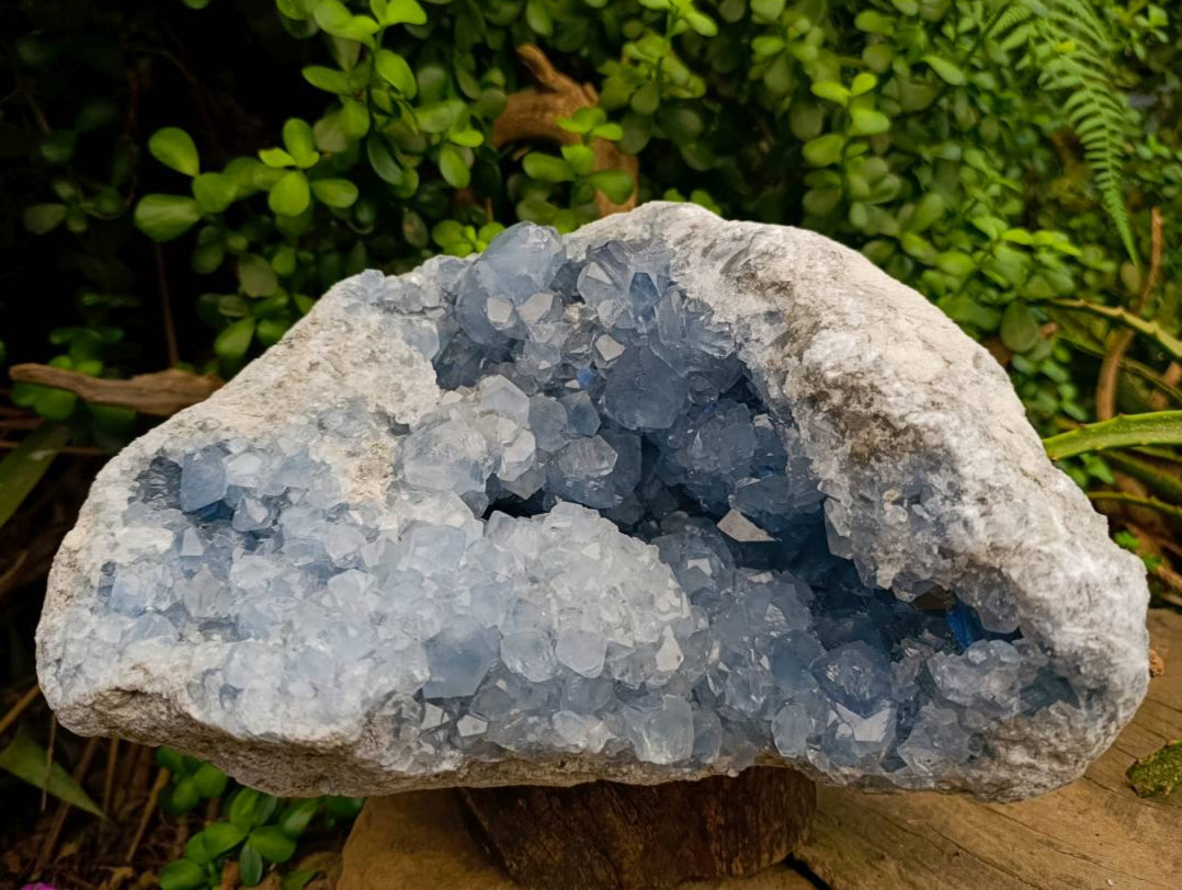 Natural Blue Celestite Geode Specimen x 1 From Sakoany, Madagascar - Toprock Gemstones and Minerals 