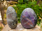 Polished Rare Purple Sunset Labradorite Galets x 12 From Tulear, Madagascar - Toprock Gemstones and Minerals 