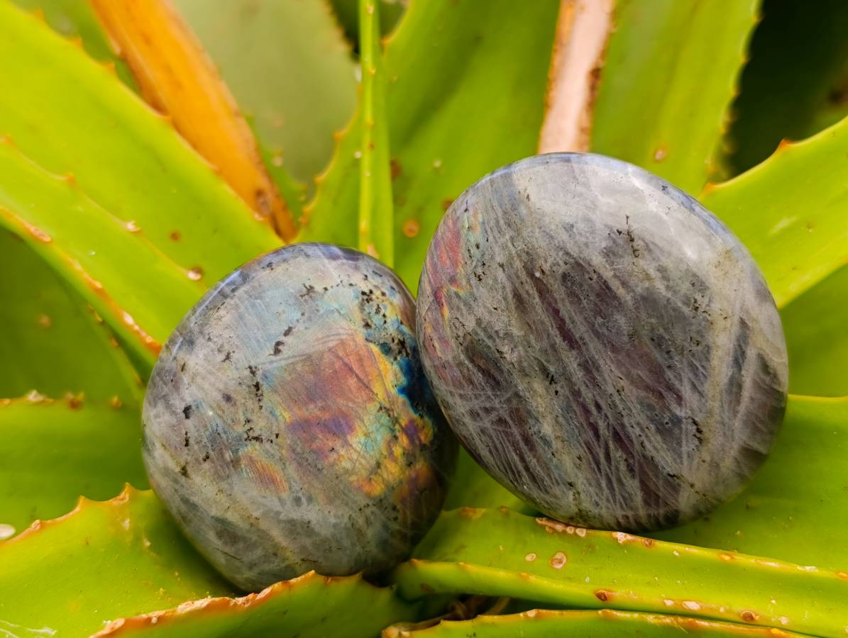 Polished Rare Purple Sunset Labradorite Galets x 12 From Tulear, Madagascar - Toprock Gemstones and Minerals 