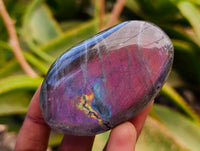 Polished Rare Purple Sunset Labradorite Galets x 12 From Tulear, Madagascar