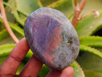 Polished Rare Purple Sunset Labradorite Galets x 12 From Tulear, Madagascar