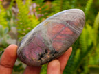 Polished Rare Purple Sunset Labradorite Galets x 12 From Tulear, Madagascar - Toprock Gemstones and Minerals 
