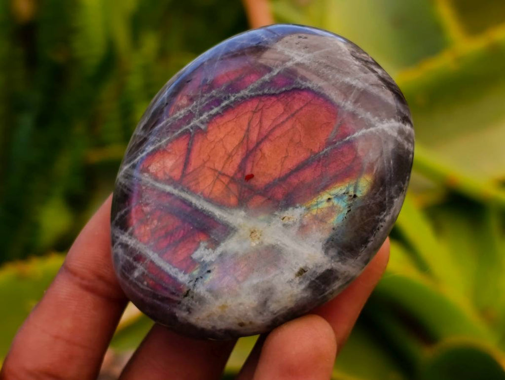 Polished Rare Purple Sunset Labradorite Galets x 12 From Tulear, Madagascar - Toprock Gemstones and Minerals 