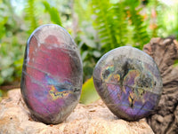 Polished Rare Purple Sunset Labradorite Galets x 12 From Tulear, Madagascar