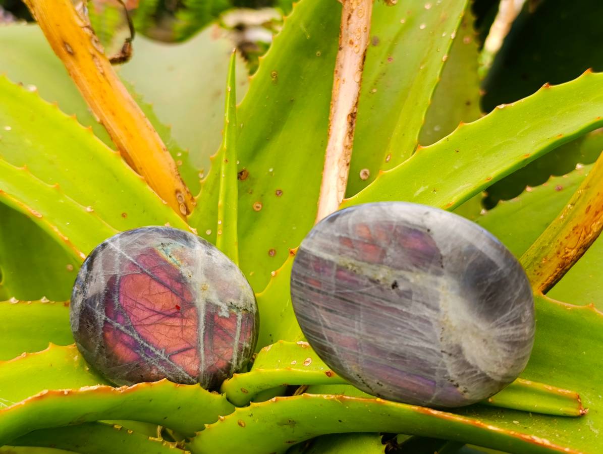 Polished Rare Purple Sunset Labradorite Galets x 12 From Tulear, Madagascar - Toprock Gemstones and Minerals 