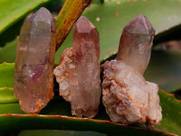 Natural Red Hematoid Quartz Clusters And Crystals x 35 From Karoi, Zimbabwe