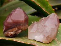 Natural Red Hematoid Quartz Clusters And Crystals x 35 From Karoi, Zimbabwe