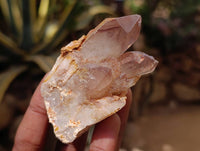 Natural Red Hematoid Quartz Clusters And Crystals x 35 From Karoi, Zimbabwe