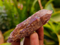 Natural Red Hematoid Quartz Clusters And Crystals x 35 From Karoi, Zimbabwe