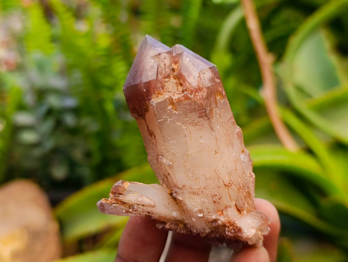 Natural Red Hematoid Quartz Clusters And Crystals x 35 From Karoi, Zimbabwe - Toprock Gemstones and Minerals 