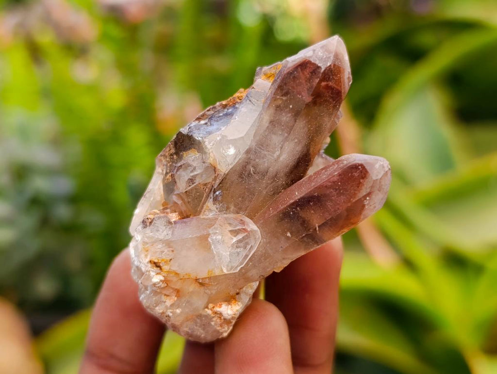 Natural Red Hematoid Quartz Clusters And Crystals x 35 From Karoi, Zimbabwe - Toprock Gemstones and Minerals 