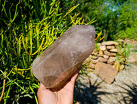 Polished Smokey Quartz Crystal x 1 From Madagascar