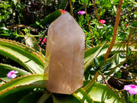 Polished Smokey Quartz Crystal x 1 From Madagascar