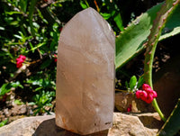 Polished Smokey Quartz Crystal x 1 From Madagascar