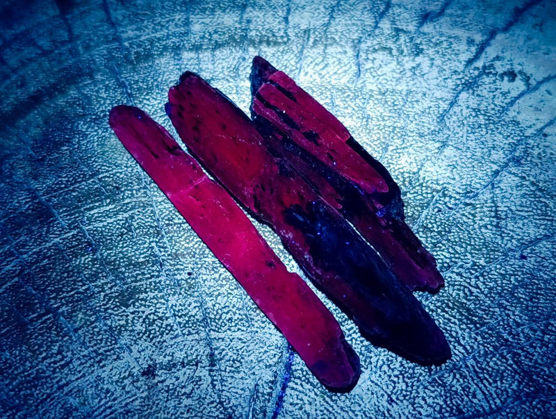 files/173098_11.jpg