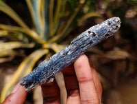 Natural Kyanite Crystals x 3 Kg Lot From Karoi, Zimbabwe