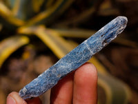Natural Kyanite Crystals x 3 Kg Lot From Karoi, Zimbabwe