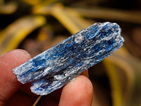 Natural Kyanite Crystals x 3 Kg Lot From Karoi, Zimbabwe
