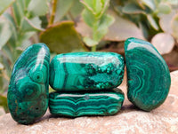 Polished Flower Banded Malachite Free Forms x 35 From Congo