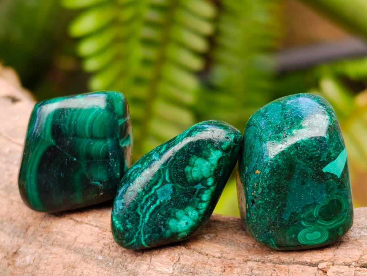 Polished Flower Banded Malachite Free Forms x 35 From Congo - Toprock Gemstones and Minerals 