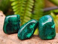 Polished Flower Banded Malachite Free Forms x 35 From Congo