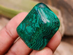 Polished Flower Banded Malachite Free Forms x 35 From Congo - Toprock Gemstones and Minerals 