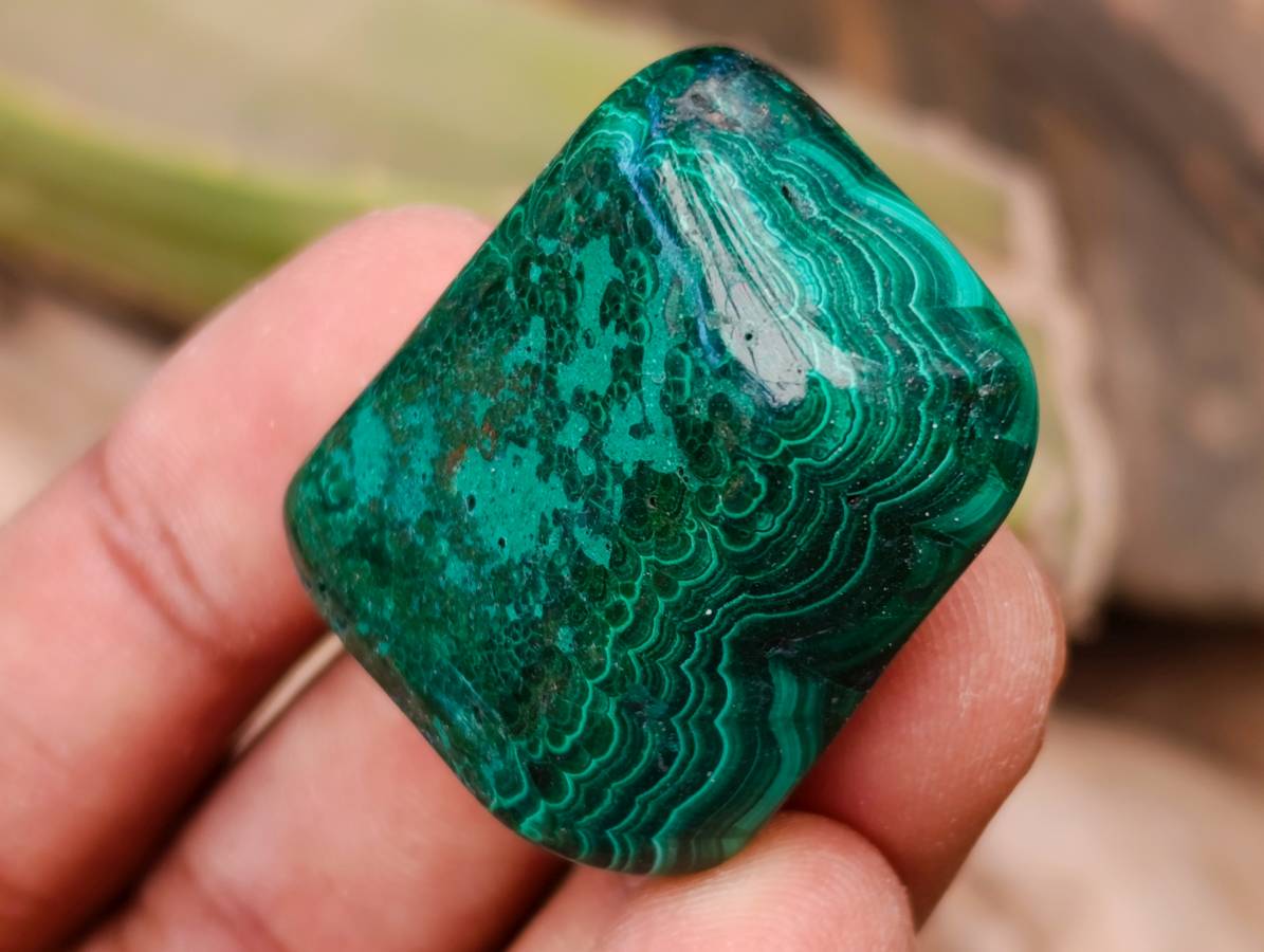 Polished Flower Banded Malachite Free Forms x 35 From Congo - Toprock Gemstones and Minerals 