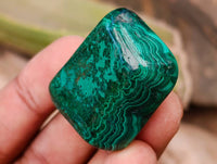 Polished Flower Banded Malachite Free Forms x 35 From Congo