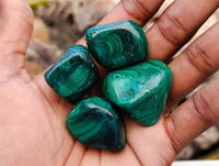 Polished Flower Banded Malachite Free Forms x 35 From Congo