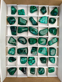 Polished Flower Banded Malachite Free Forms x 35 From Congo
