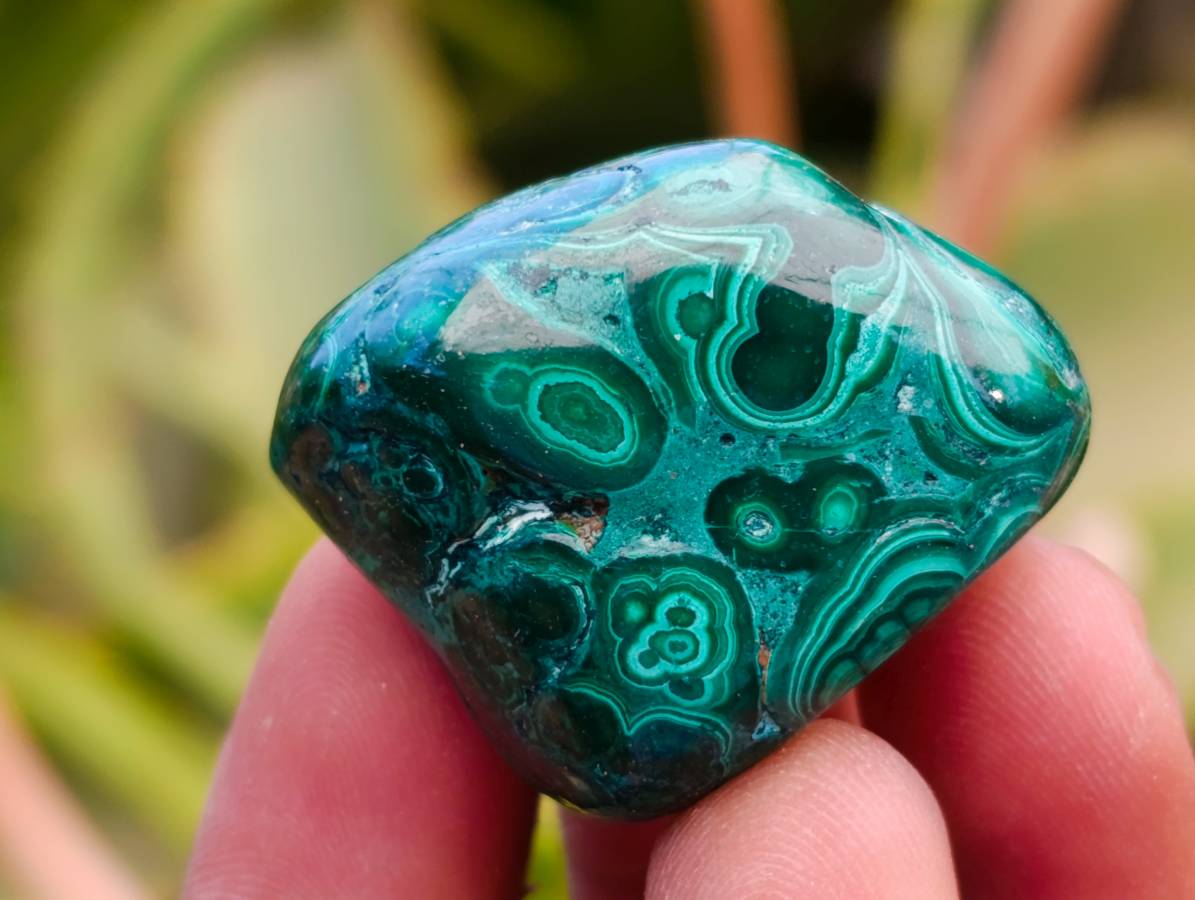 Polished Flower Banded Malachite Free Forms x 35 From Congo - Toprock Gemstones and Minerals 