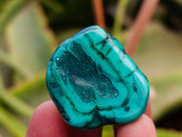 Polished Flower Banded Malachite Free Forms x 35 From Congo