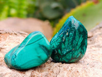 Polished Flower Banded Malachite Free Forms x 35 From Congo
