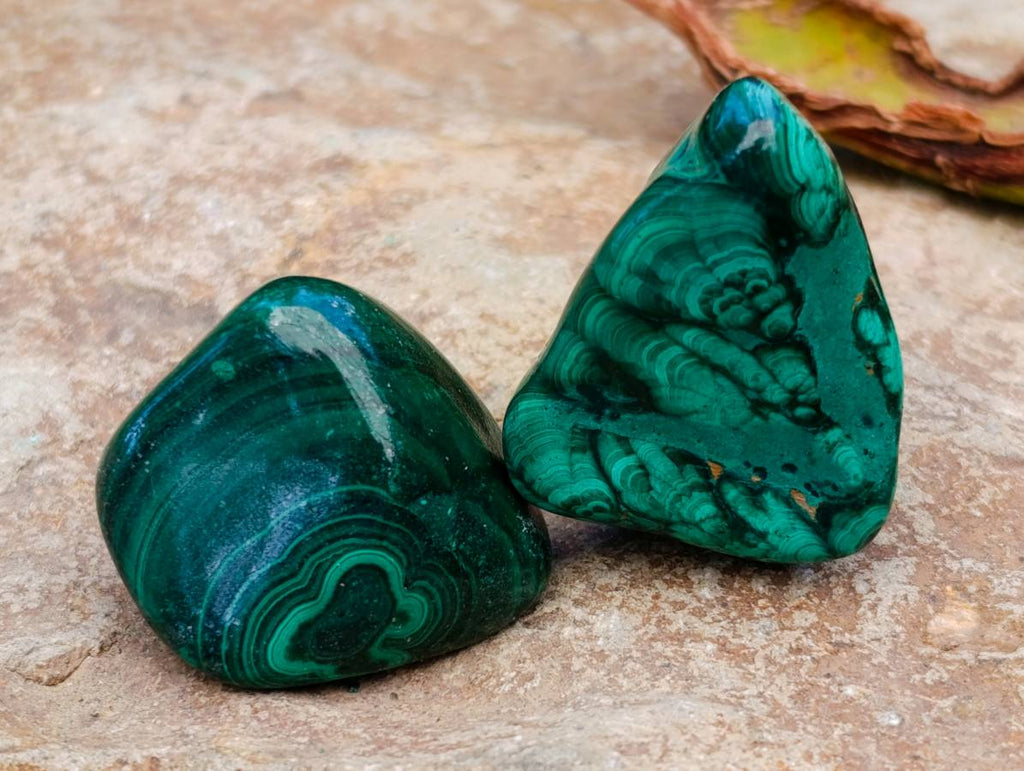 Polished Flower Banded Malachite Free Forms x 35 From Congo - Toprock Gemstones and Minerals 
